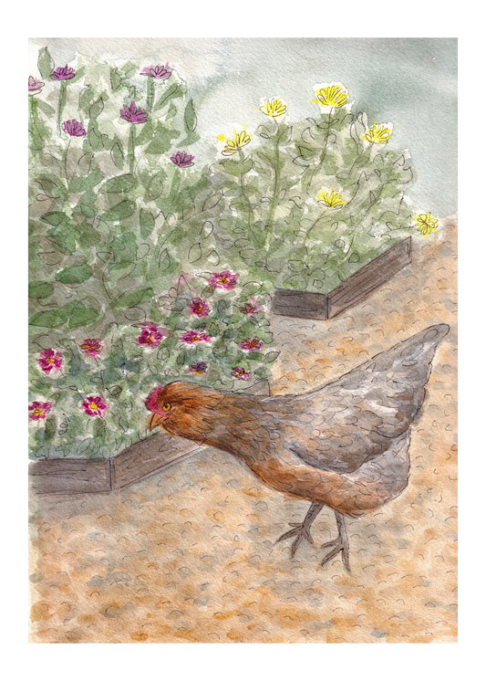 The Hen House Garden - Originial