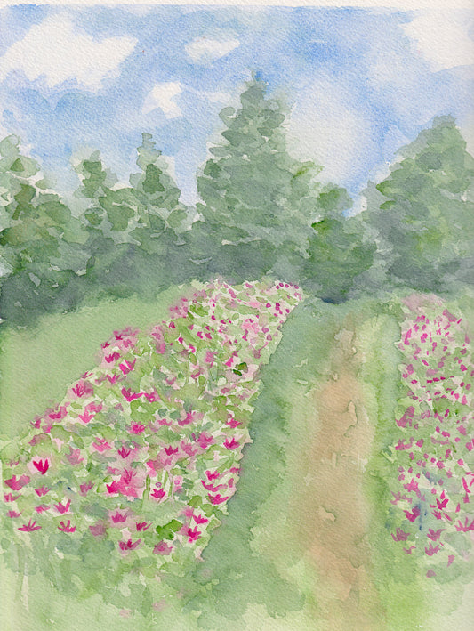 Flower Meadow - Original