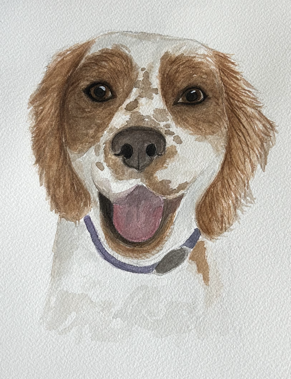 PET PORTRAIT