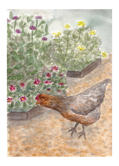 The Hen House Garden - Originial