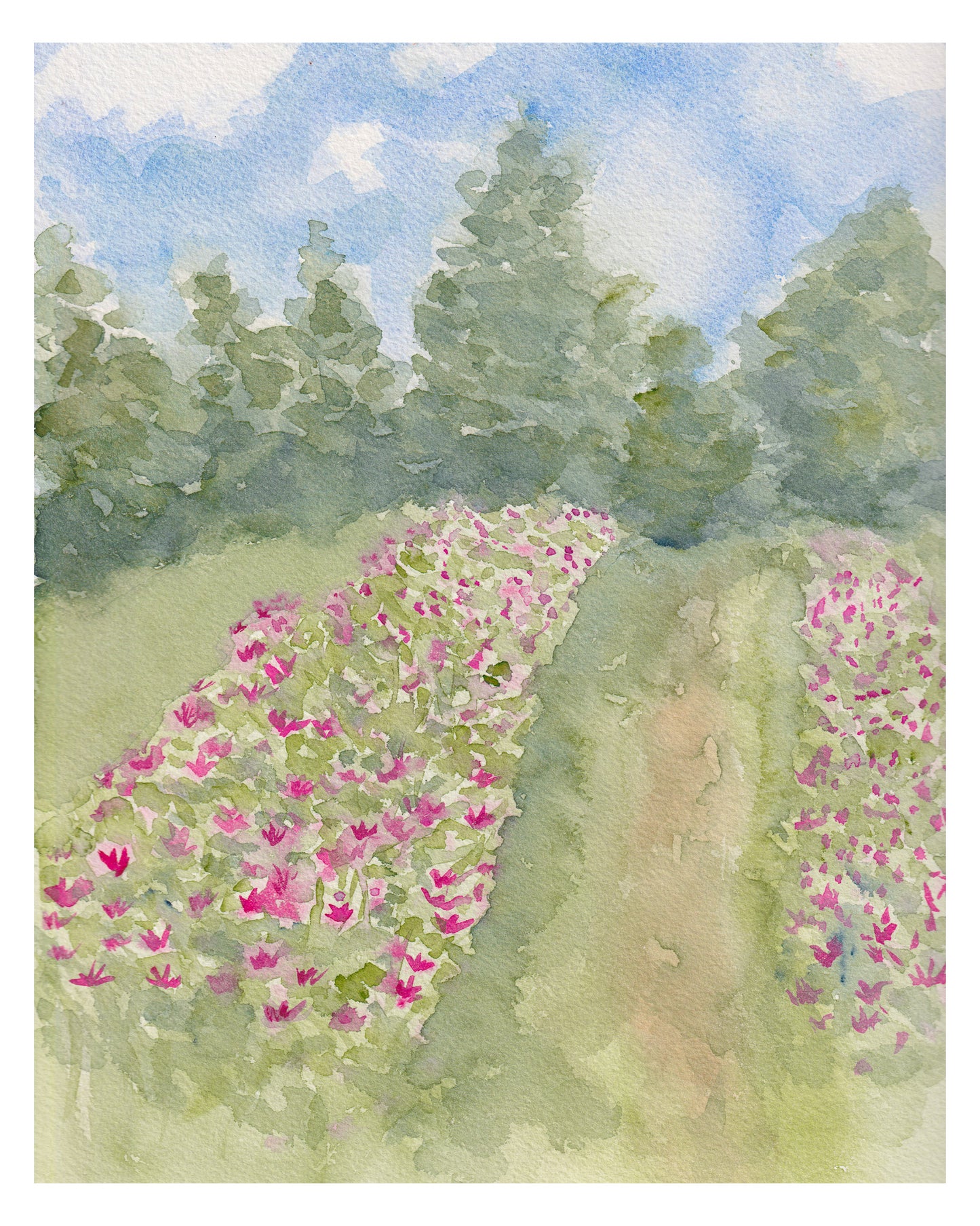 Flower Meadow Print